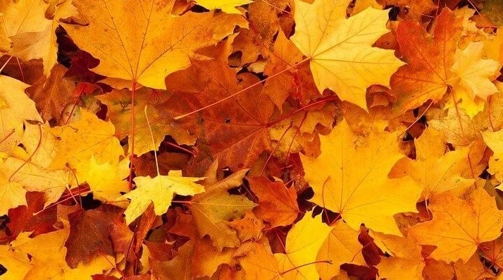 Contactez votre agence Guy Hoquet la plus proche pour trouver le bien immobilier de vos rêves